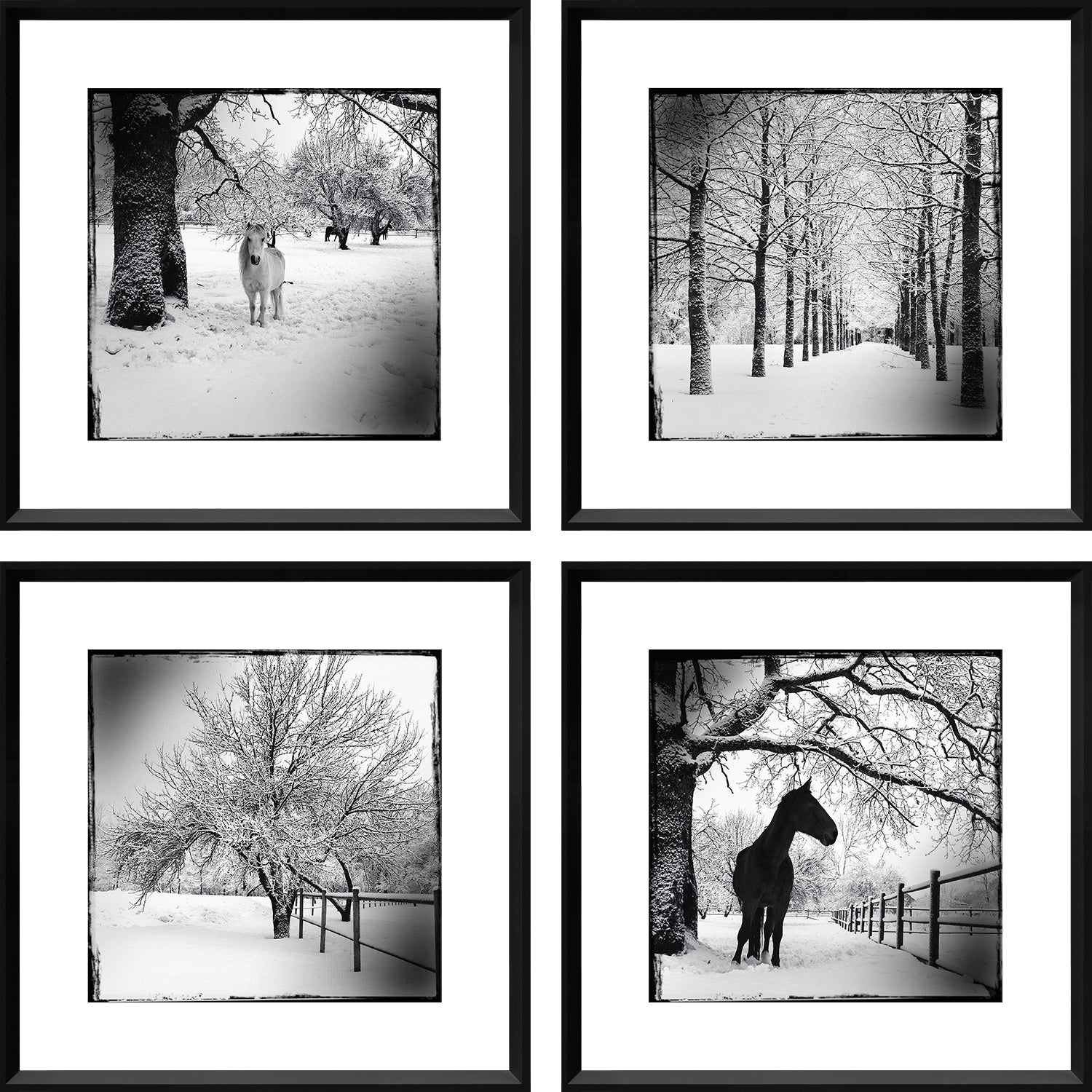 Winterscapes S/4 wall art featuring four black and white snowy landscapes with horses and trees