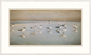 Coastal Reflections wall art featuring seagulls on a reflective shoreline, soft pastel colors.
