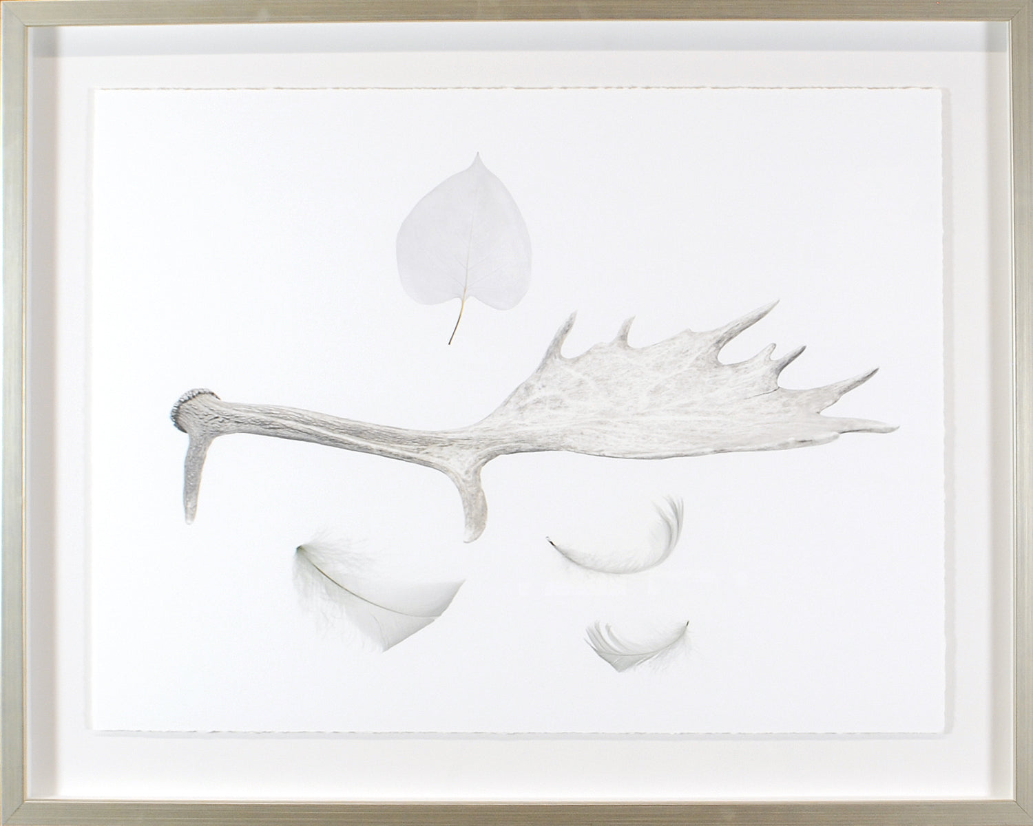 Found Objects II wall art featuring a white background with natural elements like leaves and antlers.