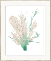 23 × 27 in