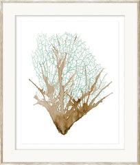 23 × 27 in