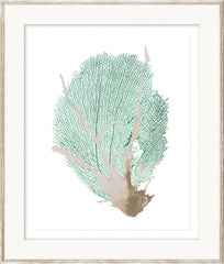 23 × 27 in
