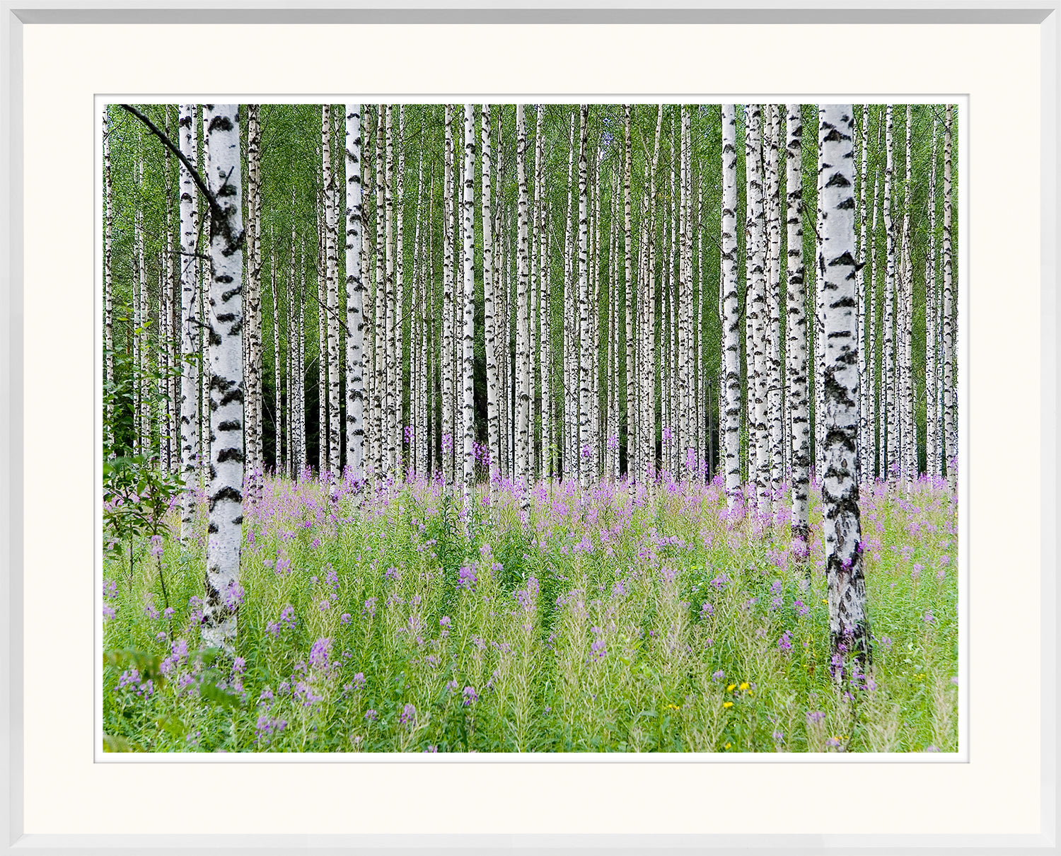 Aspens In Violet Trio Bundle