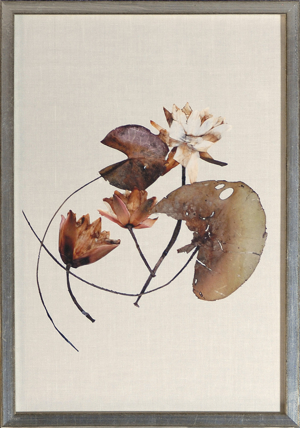Herbarium Pressings IV wall art featuring dried flowers and leaves on a beige background.