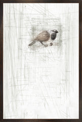 17 × 25 pulg.