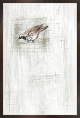 17 × 25 in