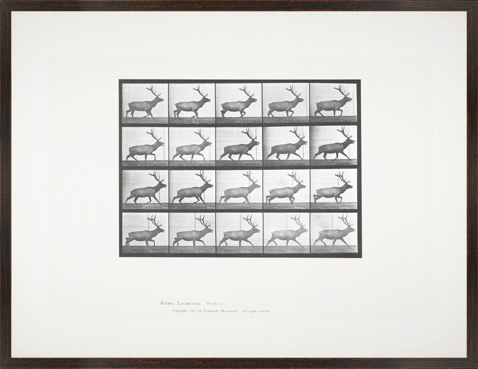Muybridge Motion Studies Trio Bundle — architecture and travel fine art print shown from another angle