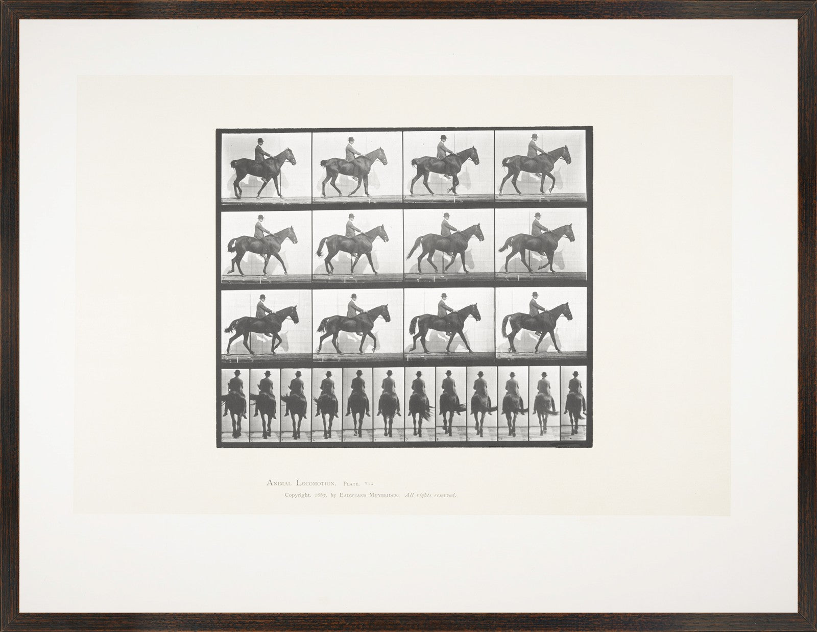 Muybridge Horse & Rider Pair Bundle — architecture and travel fine art print shown from another angle