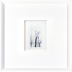 17 × 17 in – White Frame