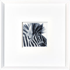 17 × 17 pulg – Marco Blanco