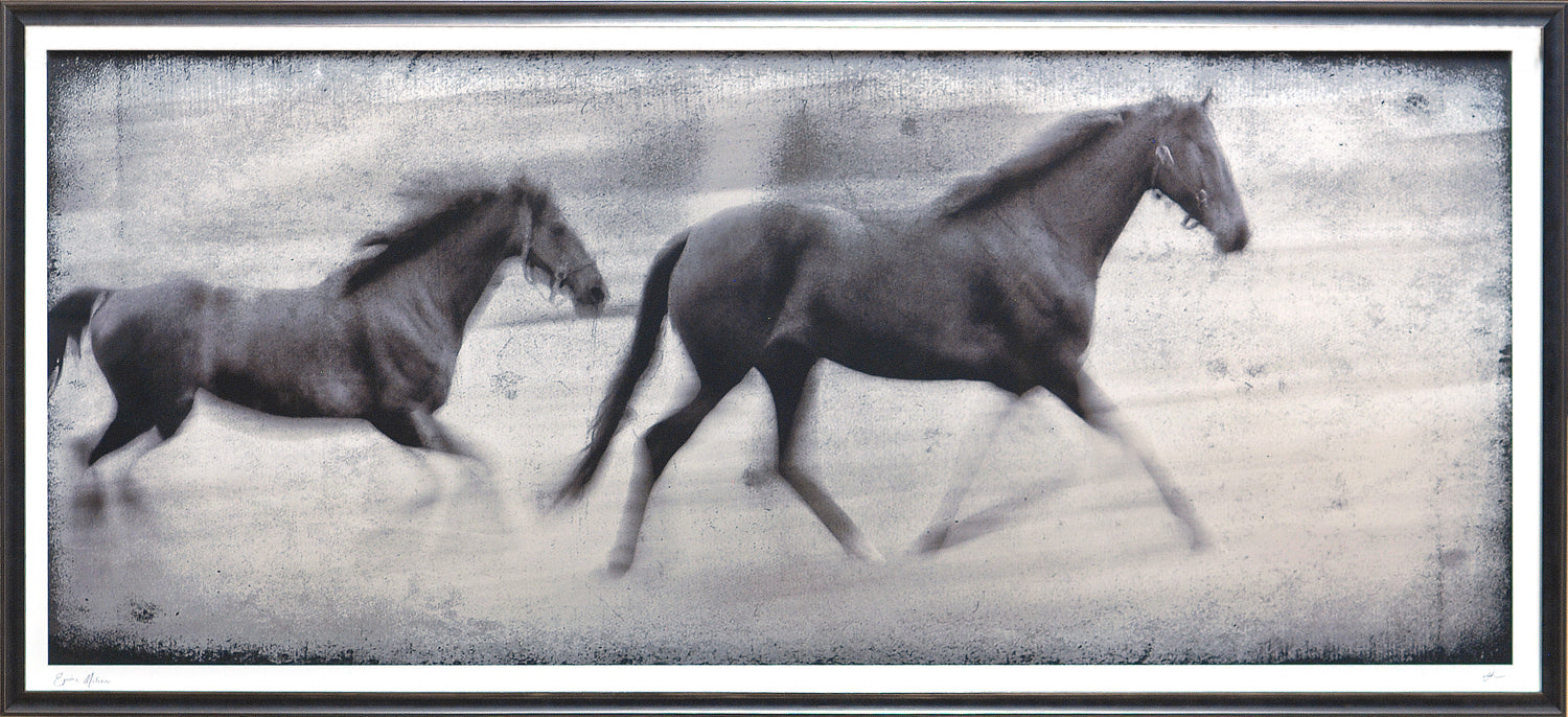 Equine Fantasy & Motion Pair Bundle — figurative fine art print shown from another angle