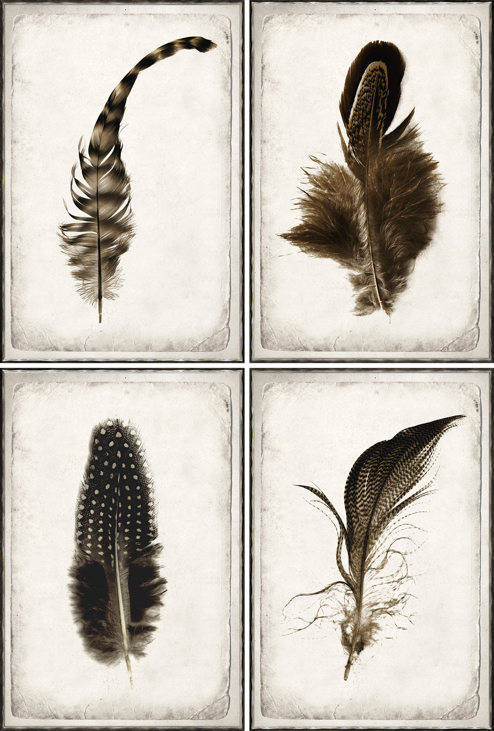 Statement Wildlife Trio Bundle