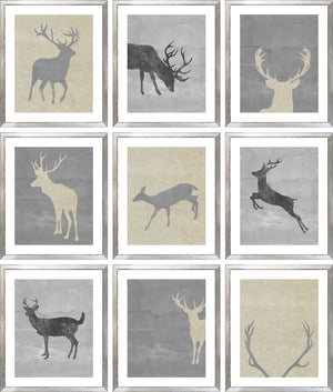 Statement Wildlife Trio Bundle