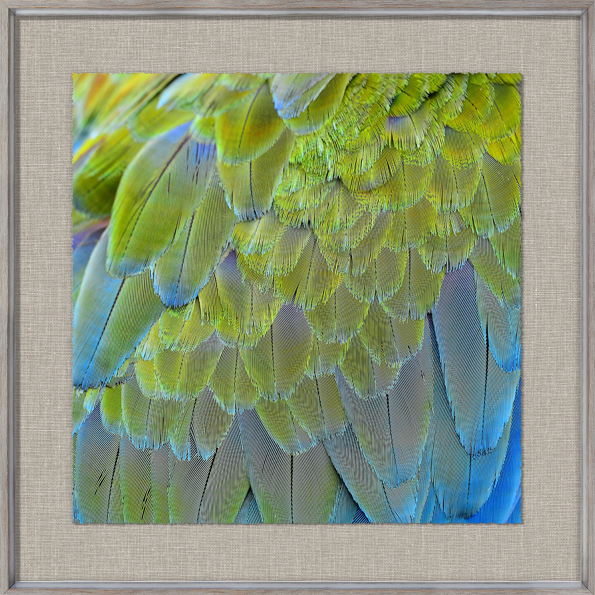 front view of Tropical Plumage I luxury Artwork
