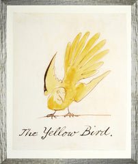 43,18 × 53,34 cm