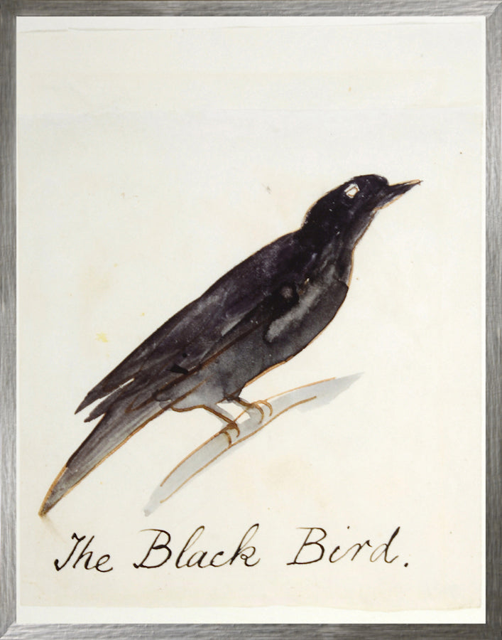 Lear Birds Warm Trio Bundle