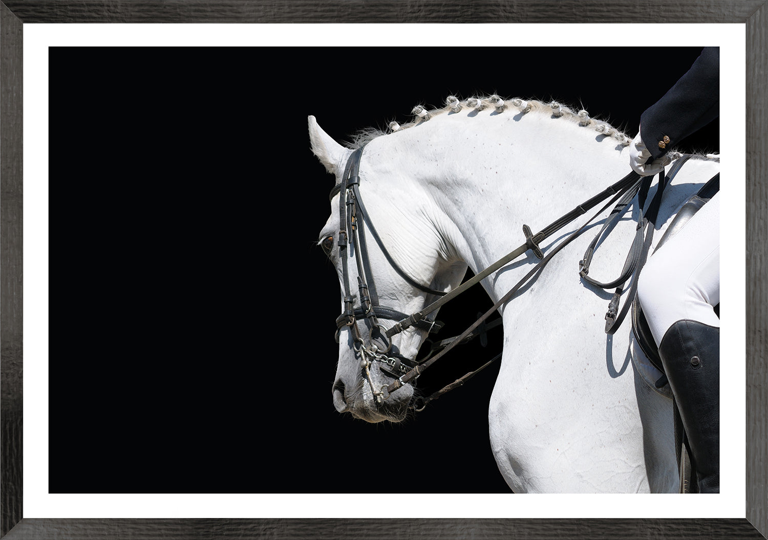 Equestrian Detail IV — nature and landscape fine art print in neutral tones at Laurie Yapp Home