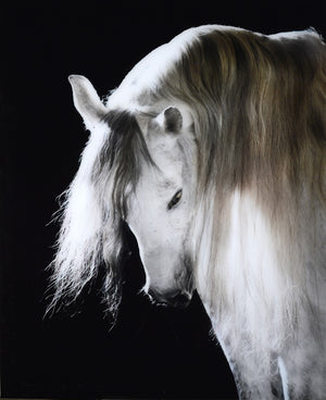 Mystical Beauty — nature and landscape fine art print in neutral tones at Laurie Yapp Home