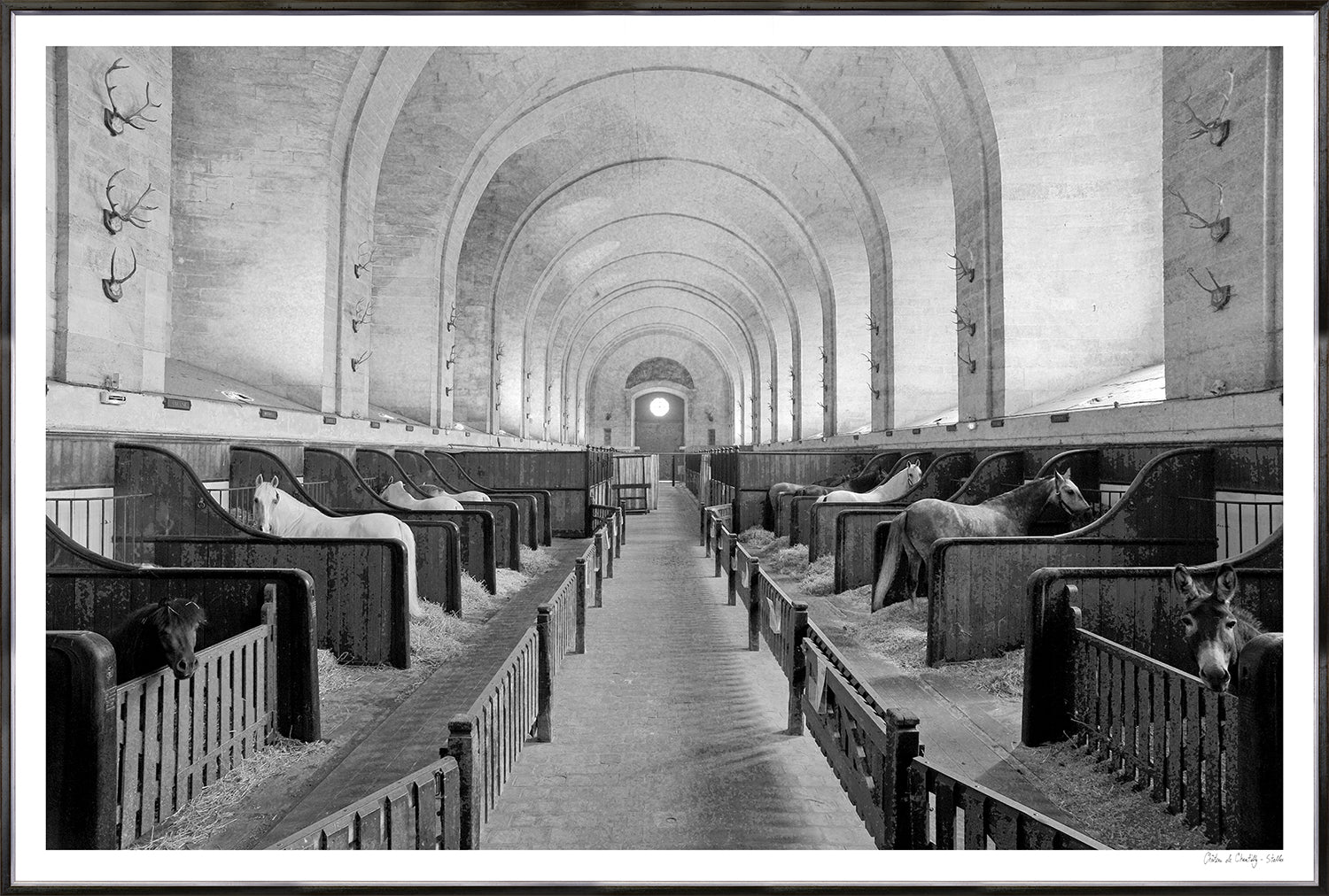 Chateau De Chantilly – Stalles wall art featuring a historic horse stable interior in black and white.