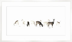 62.25 × 36.25 pulg. – Marco blanco