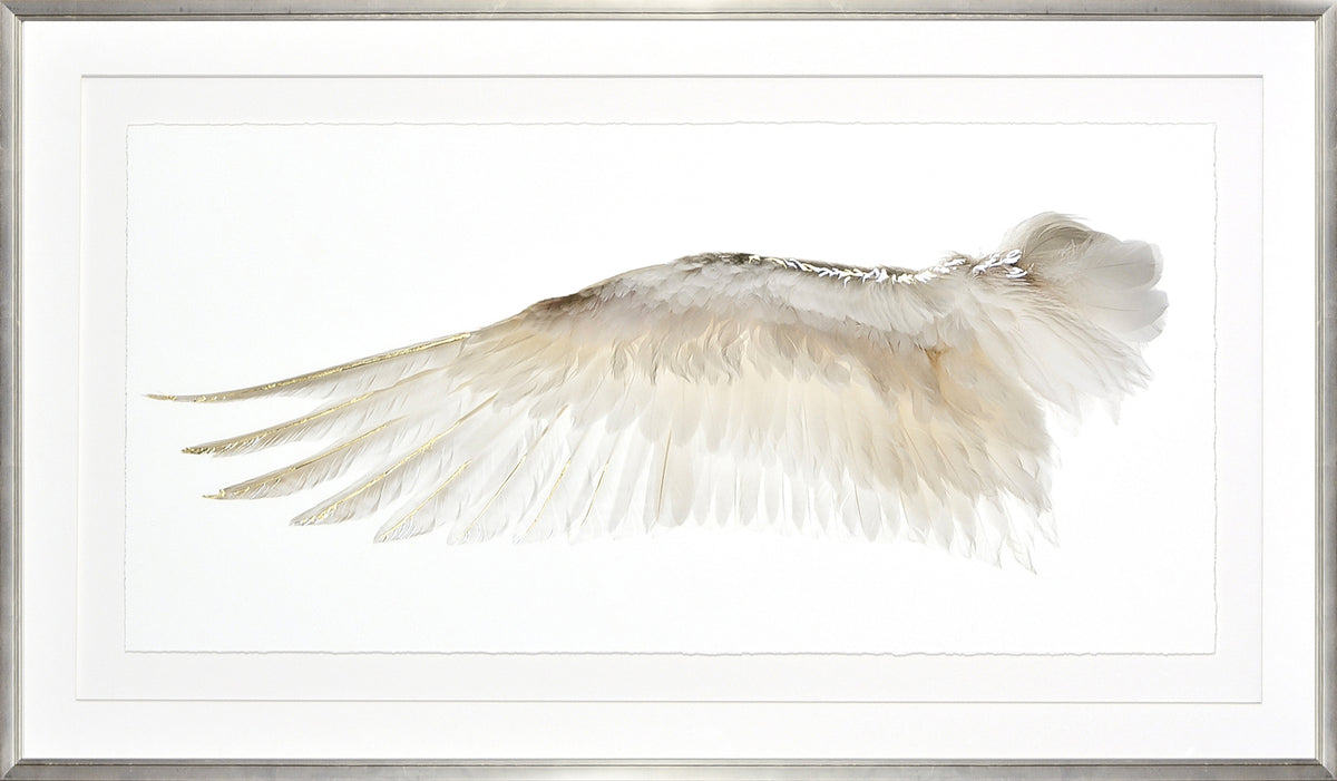 Wings Of A Feather I — nature and landscape fine art print in neutral tones at Laurie Yapp Home