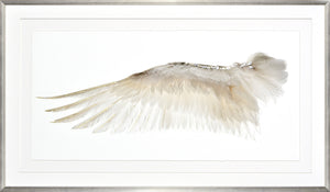Wings Of A Feather I — nature and landscape fine art print in neutral tones at Laurie Yapp Home