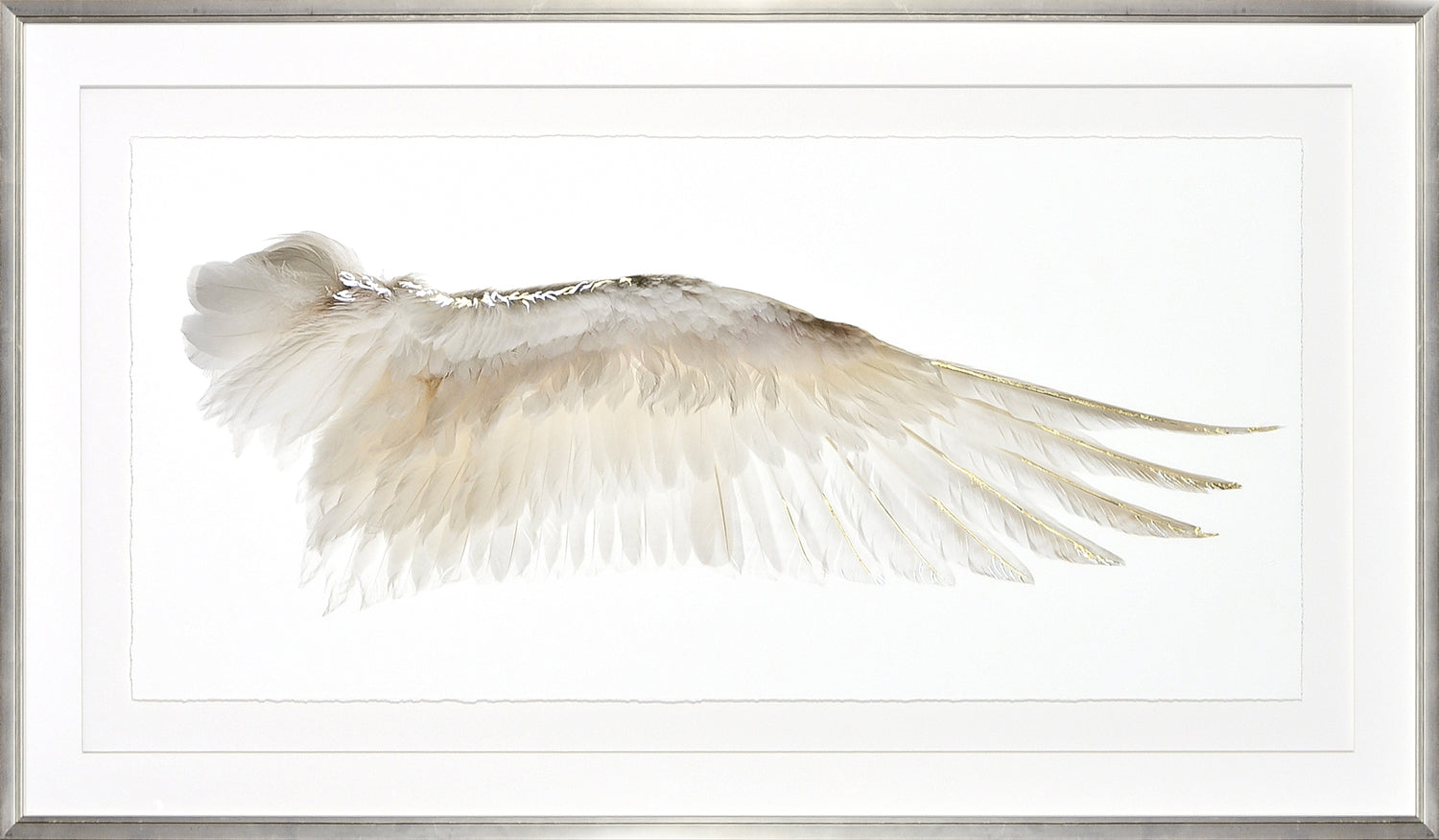 Wings Of A Feather II — nature and landscape fine art print in neutral tones at Laurie Yapp Home