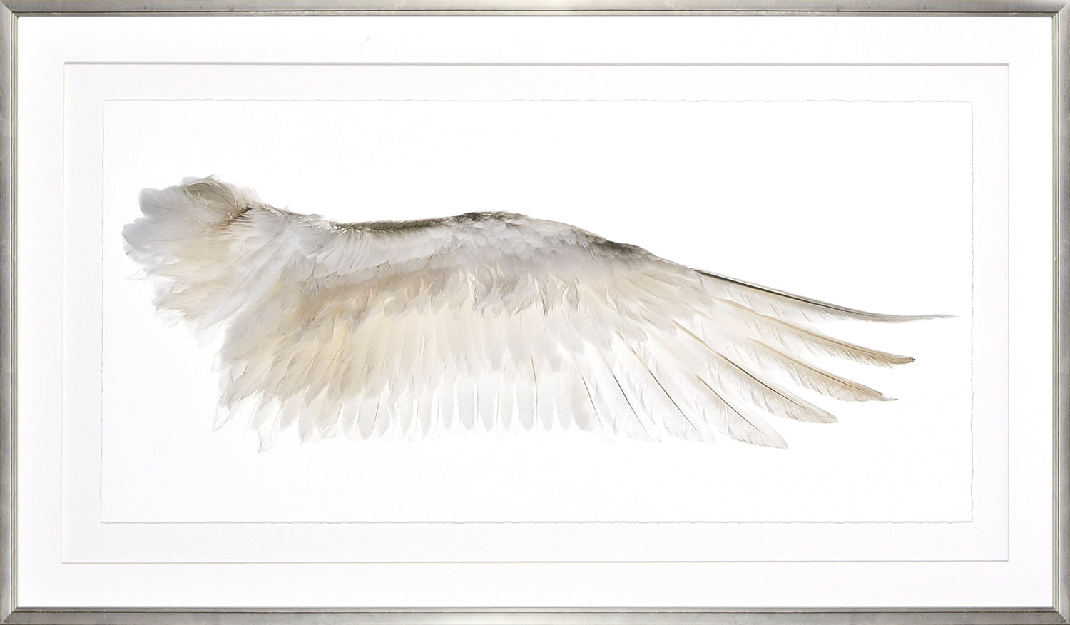 Wings Of A Feather II framed art print, no gild, 55.25 × 31.25 in