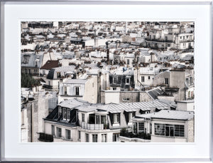 Parisian Rooftops wall art featuring a detailed view of Paris rooftops in muted tones.