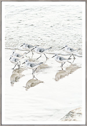 Piper Meet II wall art featuring a group of shorebirds walking on wet sand with reflections.