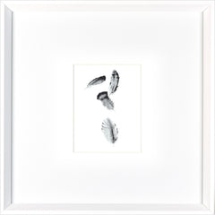 17 × 17 po – Cadre blanc