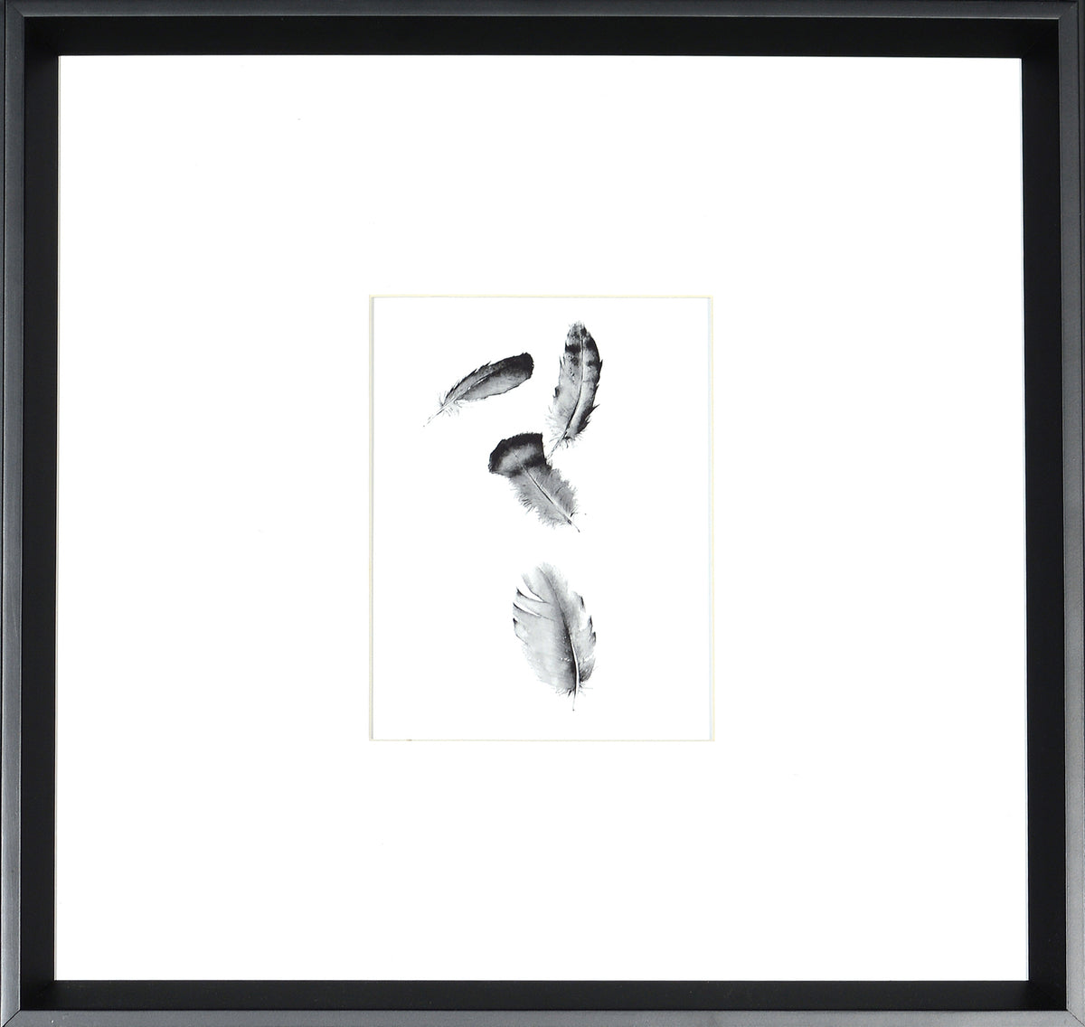 Four Feathers — fine art print in neutral tones at Laurie Yapp Home