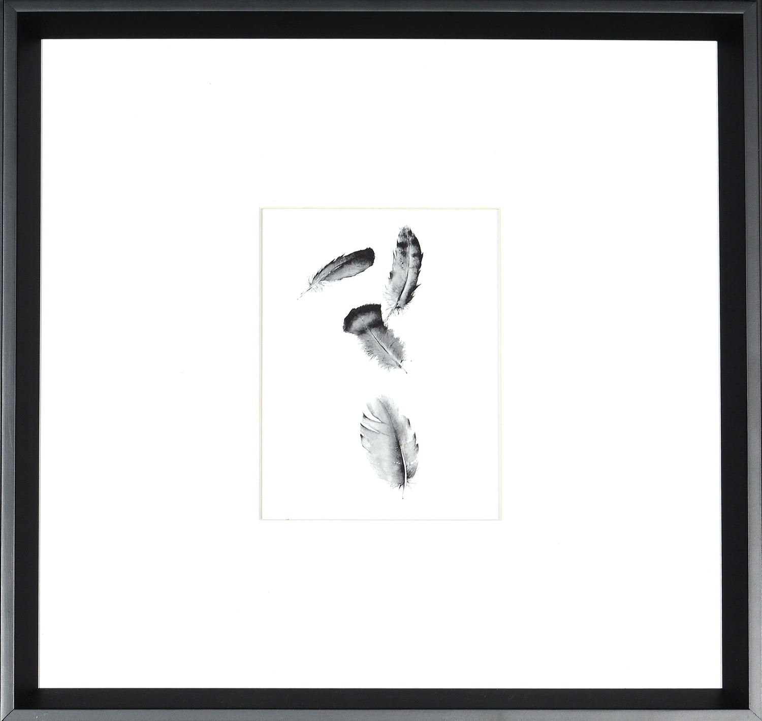 Four Feathers — fine art print in neutral tones at Laurie Yapp Home