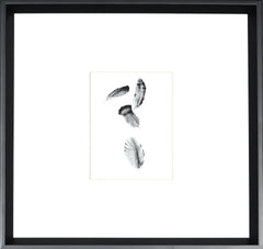 43,82 × 43,82 cm – Cadre noir