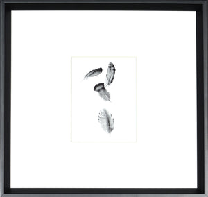 Four Feathers — fine art print in neutral tones at Laurie Yapp Home
