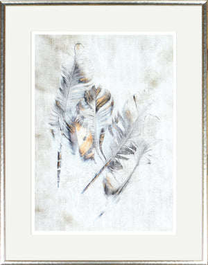 Copper Touched Feathers II — nature and landscape fine art print in neutral tones at Laurie Yapp Home