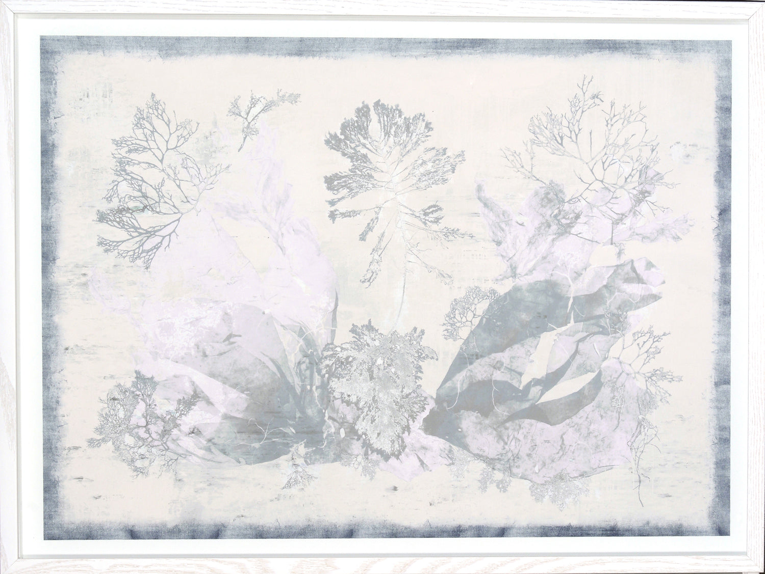Seaweed Collection II wall art featuring delicate seaweed illustrations in soft colors.