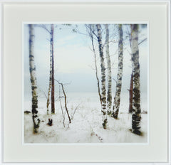 33 × 33 in