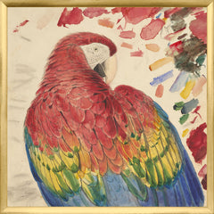 21,25 × 21,25 pulgadas