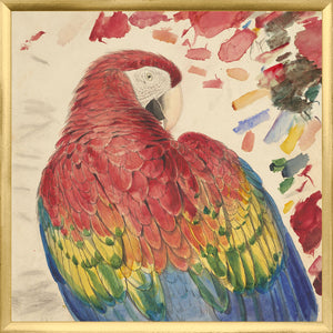 Lear Red Yellow Macaw framed art print