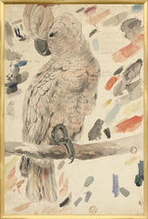 25.25 × 37.25 in