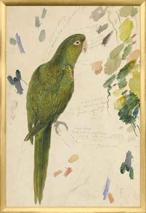 Lear Vibrant Green Parrot framed art print