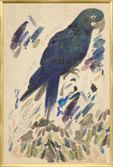 25.25 × 37.25 pulg.