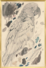 25.25 × 37.25 pulg.