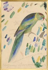 25.25 × 37.25 in