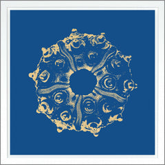 38.75 × 38.75 in – Dark Blue, Gild - Gold