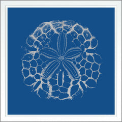 38.75 × 38.75 in – Dark Blue, Gild - Silver