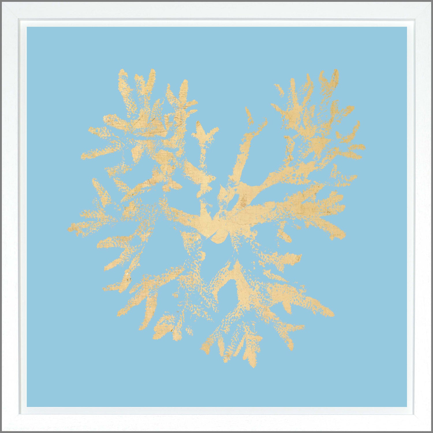 Coral wall art featuring gold coral design on a light blue background, framed in white.