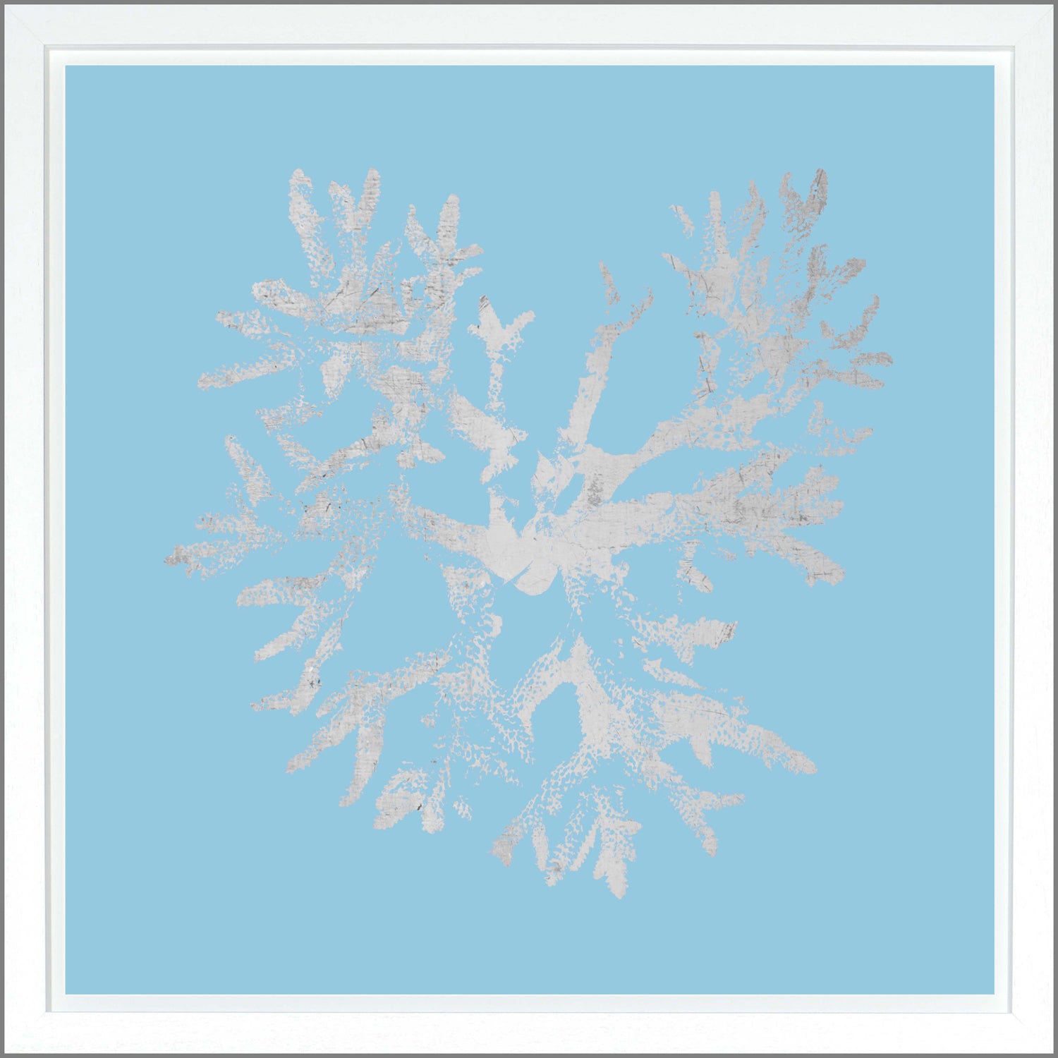 Coral — nature and landscape fine art print in cool tones at Laurie Yapp Home