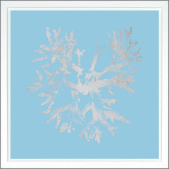 38.75 × 38.75 in – Light Blue, Gild - Silver